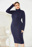 Elegant Plus Size Long Sleeve High Neck Casual Dress Unqiue Prom Dress FP8006