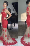 Mermaid Red Lace Bodice Champagne Tulle Modest Long Evening Dresses Party Gown