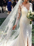 Elegant See Through Long Sleeve Lace Wedding Dresses Mermaid Wedding Dresses with Slit W1069