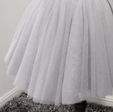 A Line Grey V-Neck Tulle Homecoming Dress H34