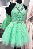 Halter Open Back Appliques Beads Tulle Lace Homecoming Dress